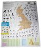 Birds of Britain Map (Bartholomew Nature Series)