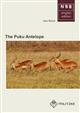 The Puku Antelope