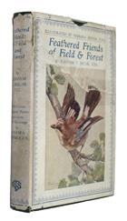 Feathered Friends of Field and Forest