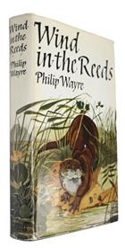 Wind in the Reeds