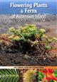 Flowering Plants and Ferns of Ascension Island