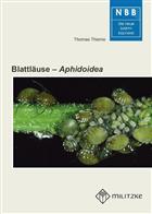 Blattläuse - Aphidoidea