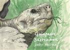 A Galápagos Sketchbook