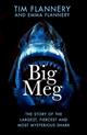 Big Meg: The Story of the Largest, Fiercest and Most Mysterious Shark