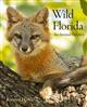 Wild Florida: An Animal Odyssey