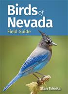 Birds of Nevada: Field Guide