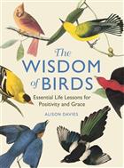 The Wisdom of Birds: Essential Life Lessons for Positivity and Grace