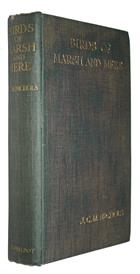 Birds of Marsh and Mere and how to shoot them