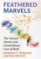 Feathered Marvels: The Natural History and Extraordinary Lives of Birds