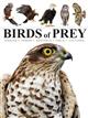 Birds of Prey