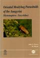Oriental Mealybug Parasitoids of the Anagyrini (Hymenoptera: Encyrtidae)