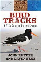 Bird Tracks: A Field Guide to British Species