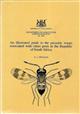 An Illustrated Guide to the Parasitic Wasps Associated with Citrus Pests in the Republic of South Africa