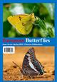 European Butterflies Issue 7. Spring 2024
