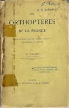 Les Orthoptères de la France Perce-oreilles, blattes, mantes, criquets, sauterelles et grillons