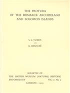 The Protura of the Bismarck Archipelago and Solomon Islands