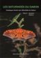 Les Saturnidés du Gabon: Catalogue illustré des Saturniidae du Gabon: Tome 2: Bunaeini - Attacini