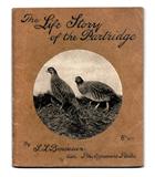 The Life Story of the Partridge
