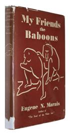 My Friends the Baboons