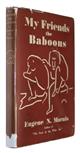 My Friends the Baboons