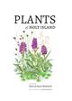 Plants of Holy Island
