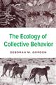 The Ecology of Collective Behavior