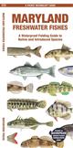 Maryland Freshwater Fishes: A Waterproof Folding Guide to Native and Introduced Species