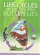 Life Cycles of British & Irish Butterflies