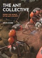 The Ant Collective: Inside the World of an Ant Colony