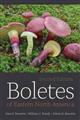 Boletes of Eastern North America