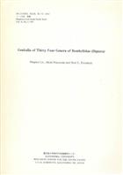 Genitalia of Thirty Four Genera of Bombyliidae (Diptera)