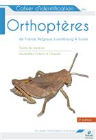 Cahier d’identification des Orthoptères de France, Belgique, Luxembourg et Suisse: Toutes les espèces Sauterelles, Grillons et Criquets [Identification guide to Orthoptera of France, Belgium, Luxembourg and Switzerland: All species Grasshoppers, Crickets 