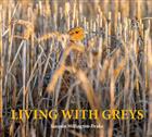 Living with Greys: A celebration of the grey partridge