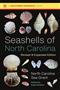 Seashells of North Carolina