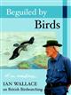 Beguiled by Birds: Ian Wallace on British Birdwatching