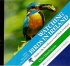 Watching Birds in Ireland: A Guide to the best places to watch birds in Ireland