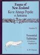 Terrestrial Talitridae (Crustacea: Amphipoda) Fauna of New Zealand 31