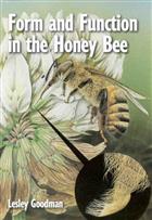 Form and Function in the Honey Bee