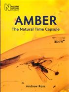 Amber: The Natural Time Capsule