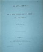 Report on the Freshwater Fishes collected by the British Ornithologists' Union Expedition and the Wollaston Expedition in Dutch New Guinea