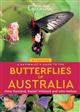 A Naturalist's Guide to the Butterflies of Australia: 2nd Edition