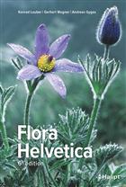 Flora Helvetica: Flore illustrée de Suisse