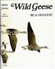 Wild Geese