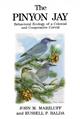 The Pinyon Jay: Behavioral Ecology of a Colonial and Cooperative Corvid