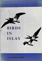 Birds in Islay