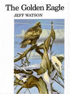 The Golden Eagle
