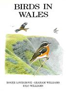 Birds in Wales