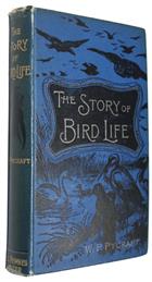 The Story of Bird-Life