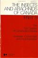 The Sac Spiders of Canada and Alaska (Araneae: Clubionidae and Anyphaenidae) (The Insects and Arachnids of Canada 9)