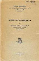 Spiders of Connecticut
